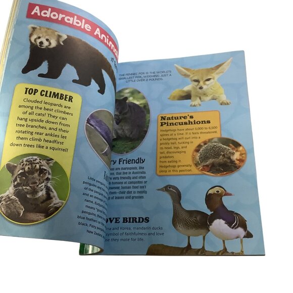 Kidsbooks STEM The Big Book Of Animals And Sharks & Sea Creatures Set - Picture 8 of 8